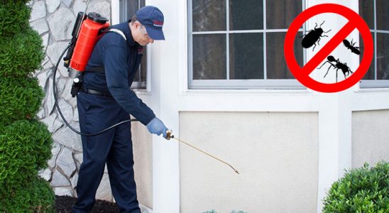 Samandağ Kene İlaçlama böcek ilaçlama ve haşere kontrolü — ilaclama-tr.com